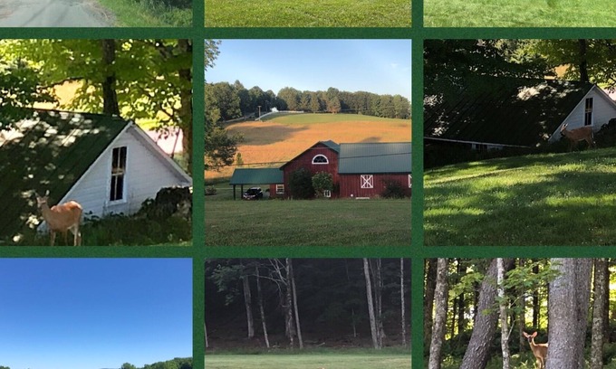 Swan Lake Other | JUST DOWN THE ROAD FROM THE WORLD FAMOUS WOODSTOCK MUSIC FESTIVAL SITE STANDS...