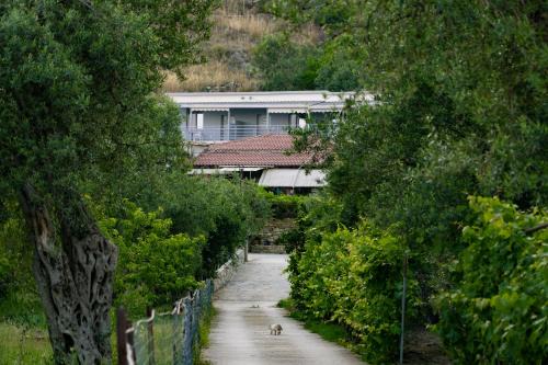 Qeparoi i Siperm Apartment | KAFUL APARTMENTS