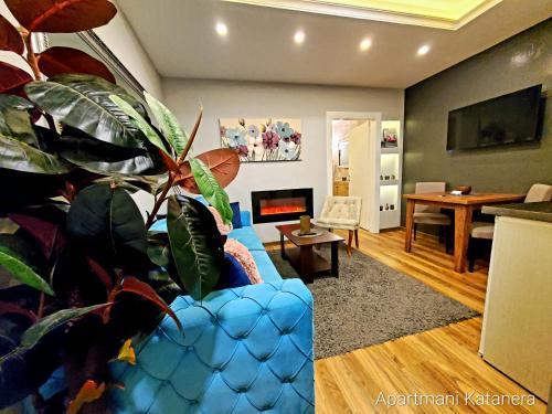 Kraljevo Apartment | Katanera 2