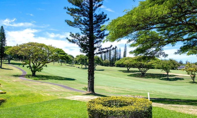 Kapalua Condo | KBM Resorts | 8-Bedroom Kapalua Golf Collection | Multi Unit Listing | Same Enclave | Golf Course Views | 4 Free Rental Cars! KGV-14P3/P6/V3/T6