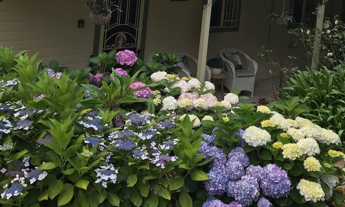 Kiama Cottage | Kiama Hampton Cottage -WIFI-Netflix -aircon