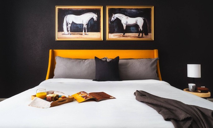 Wesley Heights Apartment | Kid-Friendly Stay Featured in CLT Magazine!