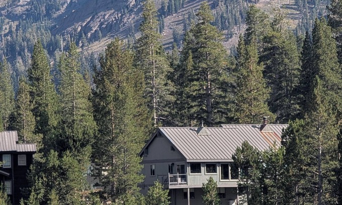 Kirkwood Apartment | Kirkwood 3Br/1 Bath On Meadow