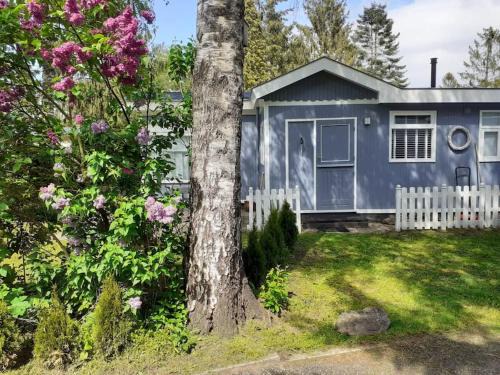 Krachtighuizen Ski Chalet | Knus buitenhuisje aan de Veluwe