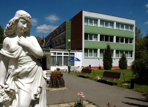Harkany Hotel | Komfort Hotel Platan