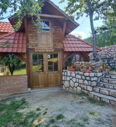 Bajina Basta Villa | Konak kod munje