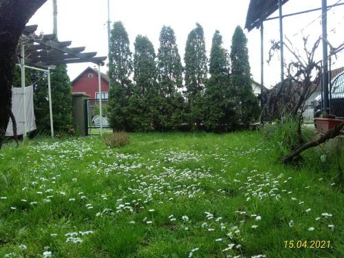 Kladovo Apartment | Kuća za odmor Jelena