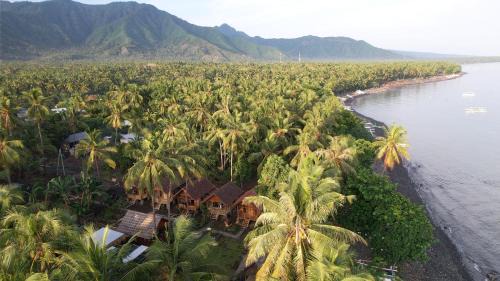Tejakula House | Kura Kura Beach