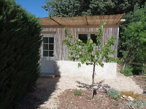 Mazan House | l'Annexe, logement confortable avec piscine