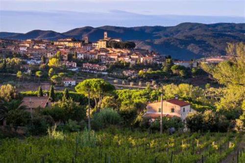 Montescudaio House | L'incanto
