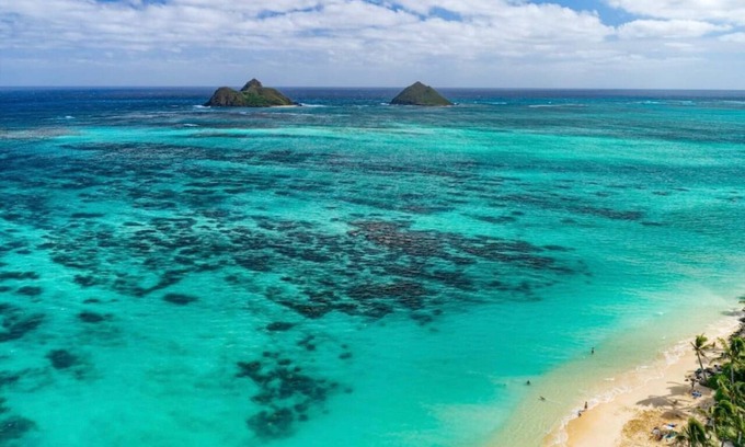 Kailua Bed & Breakfast | La Bella's Bed and Breakfast-Nai’a Suite-Walk to beach-In Kailua (O’ahu)