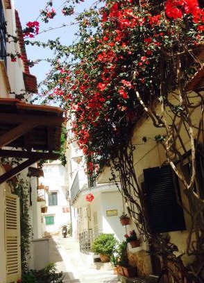 Lacco Ameno House | La Bouganville