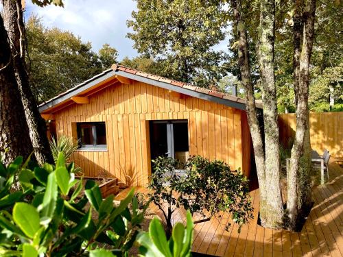 Lege-Cap-Ferret Apartment | La Cabane 56 - calme - cosy - agréable - sans vis-à-vis