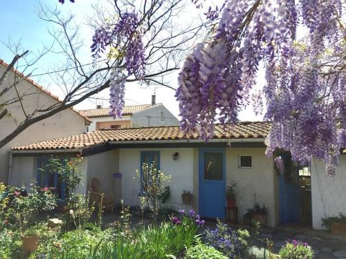 Razimbaud Apartment | La campagne dans la ville