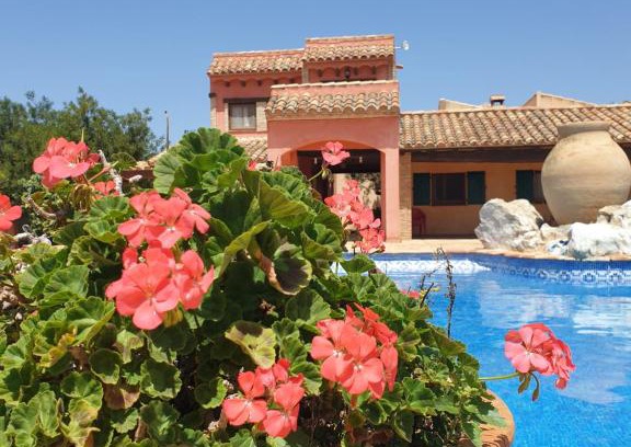 L'Ametlla de Mar Apartment | La Candelera