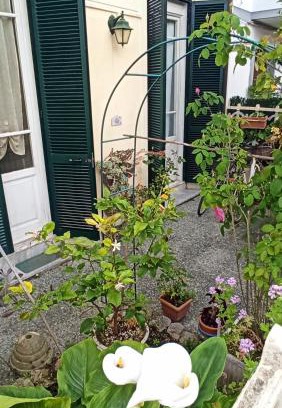 Ex Campo d'Aviazione Apartment | La casa tra il verde e il mare
