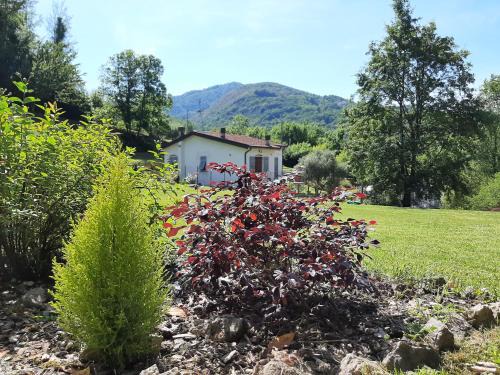 Ricco del Golfo di Spezia House | La casetta di Bianca