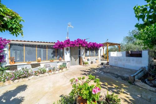 Amposta Apartment | La caseta dels iaios