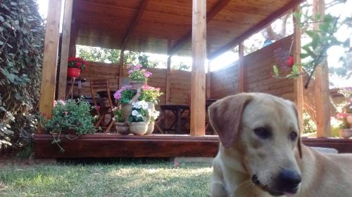 Teulada Bed & Breakfast | La Contea