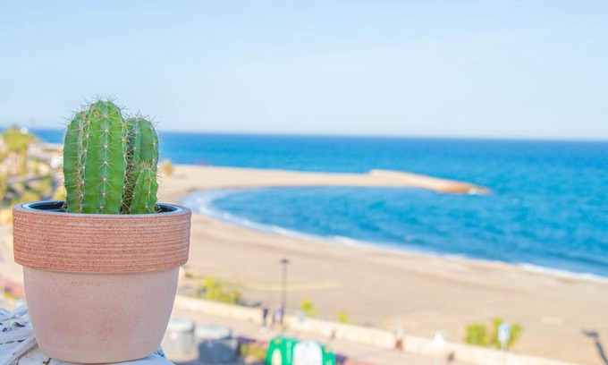 La Parata House | La Esperanza Beach- Zona Pubs y Restaurantes
