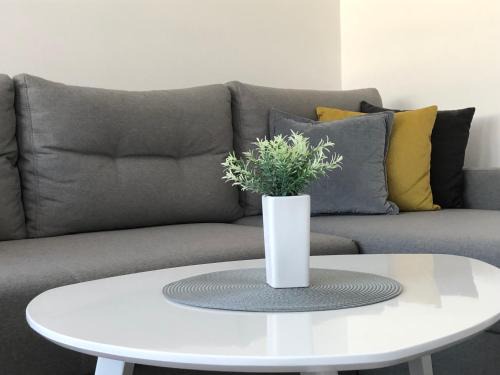 Novi Beograd Apartment | La Fontana