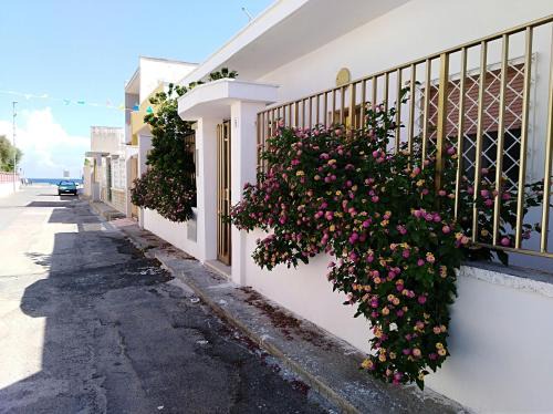 Casalabate House | La Nassa Salento