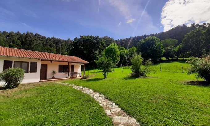 Solorzano House | La Rotiza