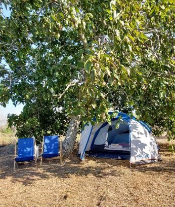 Muro Leccese Other | La Sosta del Viandante - Camping