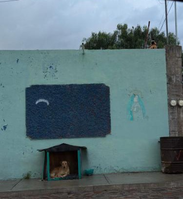 Downtown Queretaro House | La Vecindad