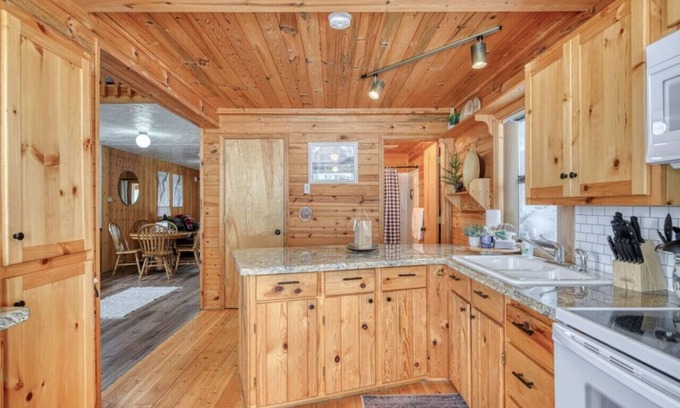 Island Park Cabin | Lake Access|Grill|Fast WiFi