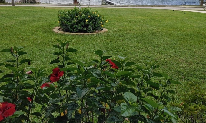 Sebring House | Lakefront private home with beach, dock and party area and large back yard