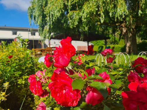 Biendorf Hotel | Landurlaub nahe Ostseebad Rerik