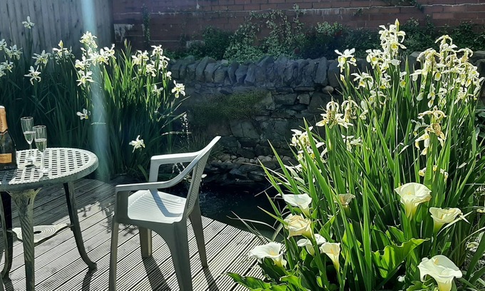 Grangetown House | Large 6 double bedroom , City centre,Edwardian Townhouse.
