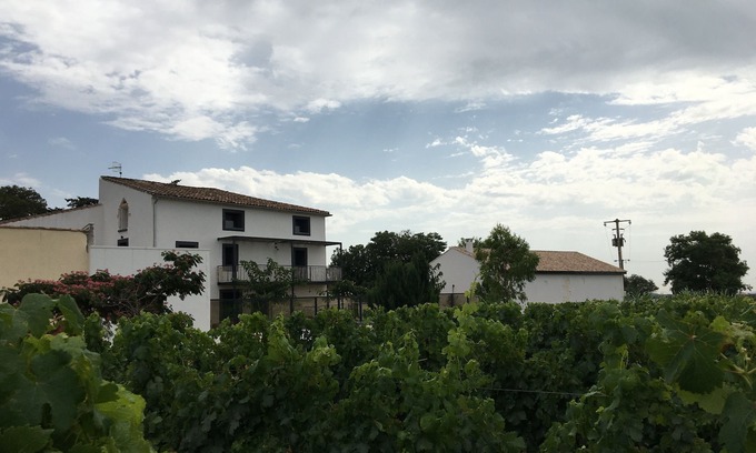 Pinet House | Large house in the heart of organic vineyards