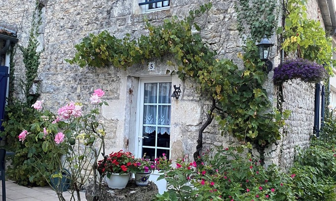 Ardillieres House | Large, quiet gîte with swimming pool