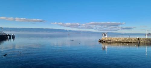 Thonon-les-Bains Apartment | Le Bacchus