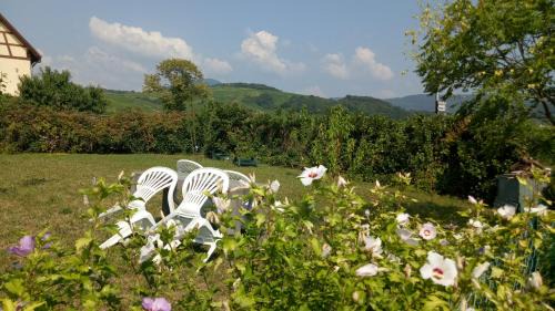 Blienschwiller Apartment | Le clos des vignes