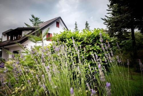 Pignola Apartment | Le Conifere