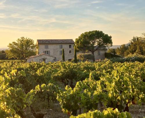 Saint-Didier House | Le Cottage du Chat Blanc