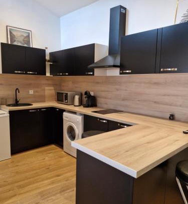 Saint-Cyprien Apartment | Le duplex Toulousain