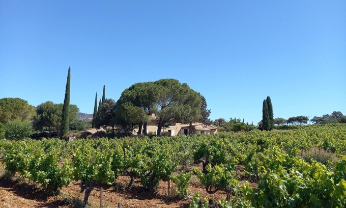 Saint-Hippolyte-le-Graveyron Other | Les Lausiers, an exceptional view between Ventoux and Dentelles de Montmirail