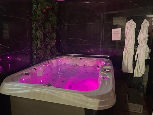 Metz-Centre – Ancienne Ville Apartment | Le Fuchsia Spa Unenuitametz