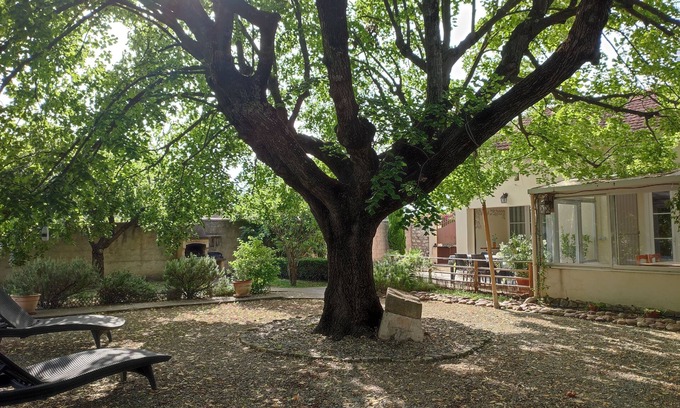 Pernes-les-Fontaines House | Le Gîte du Tilleul