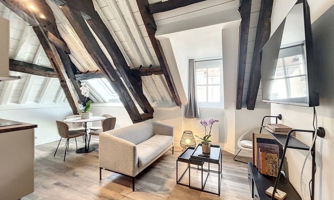 Sens Apartment | Le Laurencin Sens - In the heart of town, in a quiet area - Le Comble (2 bedrooms)
