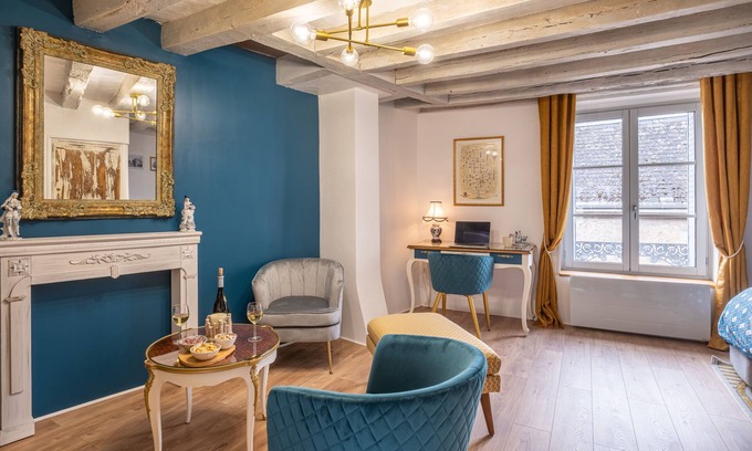Amboise House | Le Logis Ambacia: Charming 3* listed historic theme duplex - City center