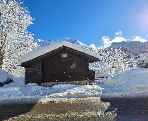 Le Chinaillon Ski Chalet | Le Petit Chalet du Chinaillon