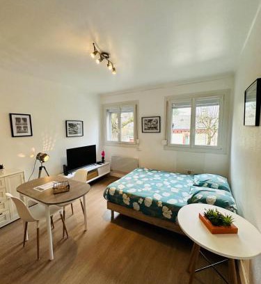 Charleville-Mezieres Apartment | Le Petit Gambetta