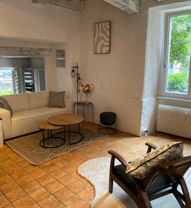 Belfort Apartment | Le refuge du lion