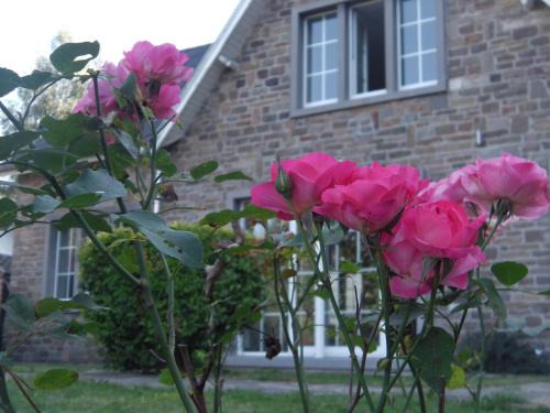 Aywaille House | Le Rimamir gîte de charme au bord de l’Amblève