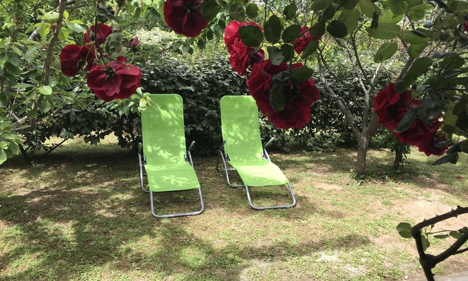 Macinaggio Apartment | "Le verger": Nice 1-bedroom apartment (60 m²), quiet location, 2 steps from the center and the beaches